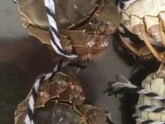 -蟹都汇(旗舰店)