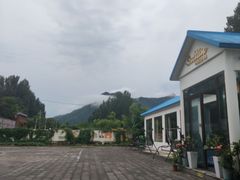 -Sultan pakistan苏单巴基斯坦
