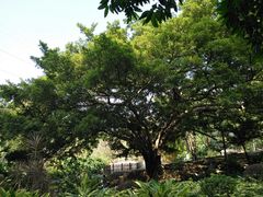 -晓港公园