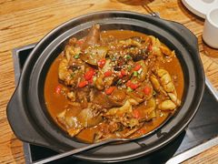 -洪湘记川湘·甲鱼馆(四海凯悦美食广场店)