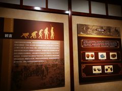 -王府井古人类文化遗址博物馆