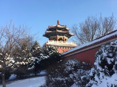 -二一九公园