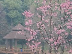 -凤凰沟景区