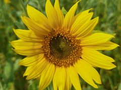 -光明小镇欢乐田园