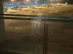 -南京禄口机场雅高铂尔曼大酒店