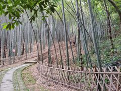 -杭州黄龙洞
