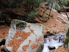 -光雾山十八月潭风景区-售票处