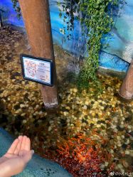 -酷嗒动物文化乐园(cutezoo西溪乐天城店)