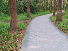 -昆山城市生态森林公园