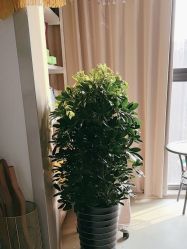-瘦立方身材管理中心