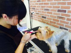 -Oh My Dog宠物沙龙(伊珊娜皮毛护理店)