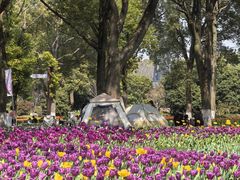 -上海鲜花港
