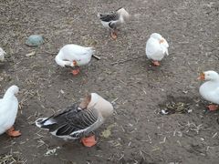 -长安大学(北校区)