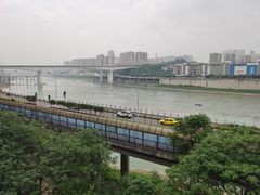 -李子坝梁山鸡(李子坝大鸡哥店)