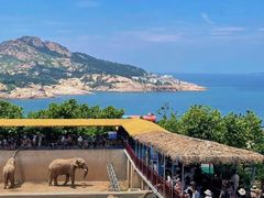 -西霞口神雕山野生动物世界