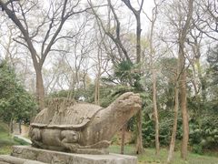 -灵谷景区