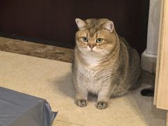 -富士康足浴休闲会所(锦华苑店)