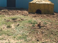 -无锡动物园·太湖欢乐园