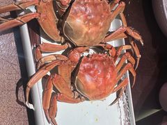 -东口码头·烧鸽子·鱼头泡饼·地方菜(金鹰悦城店)