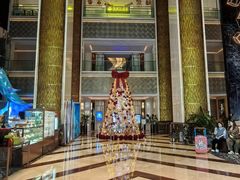 -深圳彭年万丽酒店