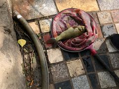 -酷鱼垂钓CLUB(朝阳区博大路店 )