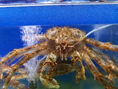 水产区-船梆煮•蒸汽海鲜·炉火烤肉(五四广场店)