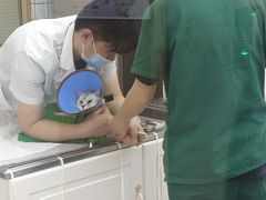 -可蒙动物医院·猫科·骨科中心(首义路店)