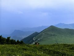-灵山
