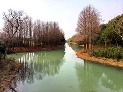 -贡湖湾湿地公园