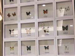 -峨嵋小镇(远洋城店)