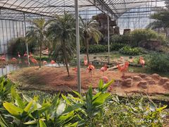 -无锡动物园·太湖欢乐园