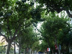 -华东理工大学·停车场