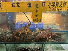 -寻味顺德·南记酒家·传统顺德菜·鱼生(广源路店)