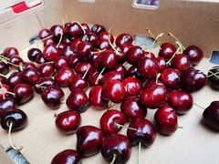 -红星农博物流中心