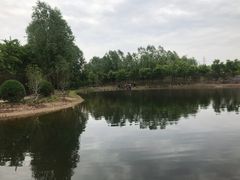 -东郊湿地公园