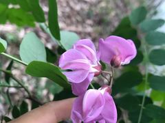 -白鹭湾湿地公园