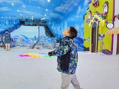 -世界之窗阿尔卑斯冰雪世界