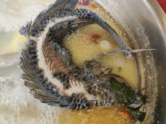 -马街老字号罗非鱼庄(昙华寺店)