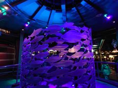 -海底巡游艇:尼莫和好友的海洋世界