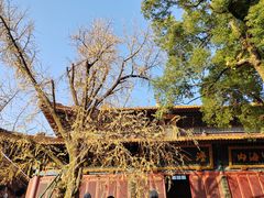 -宝通禅寺
