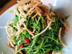 巧拌豆苗-天和晟新京菜.水煮鱼.湘土菜(国展店)