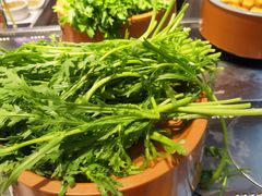 -龍歌自助小火锅(李沧顺和汇店)
