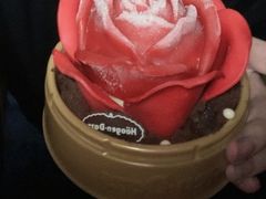 -哈根达斯(虹口店)