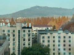 -南京维景国际大酒店(南京博物院店)