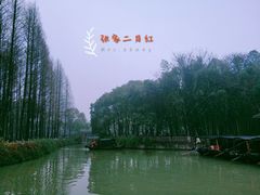 -乌镇东栅景区