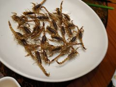 -老江南春·中国龙菜(衡山路店)