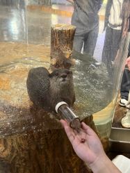 -Zoolung Zoolung动物主题公园(海信广场店)