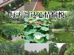 -望湖公园