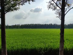 -嘉北郊野公园