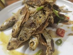 -芦茨金富饭庄·25年老字号·专做稻草鸡